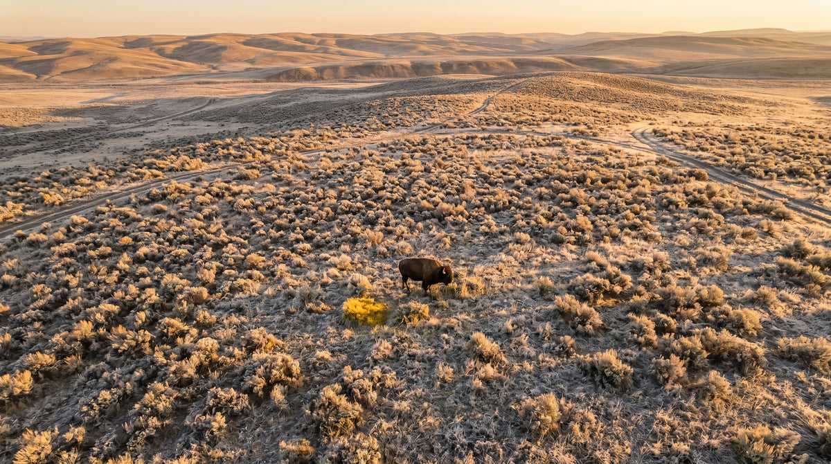 Rocky Mountain terrain
