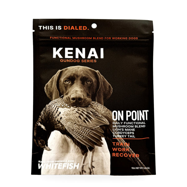 ON POINT daily functional mushroom blend, bag front